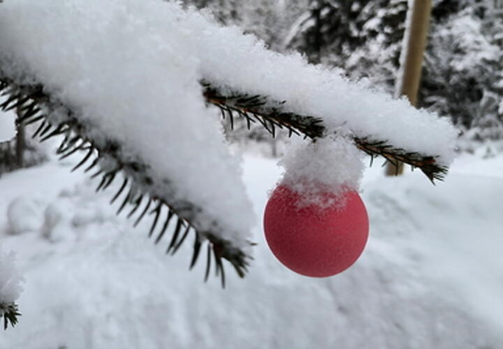 Горы в Сочи до отказа засыплет снегом за два дня