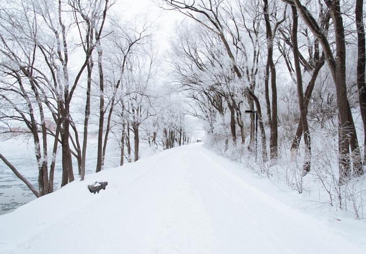 Гроза и снег: о погоде на 21 января в Краснодарском крае рассказали синоптики