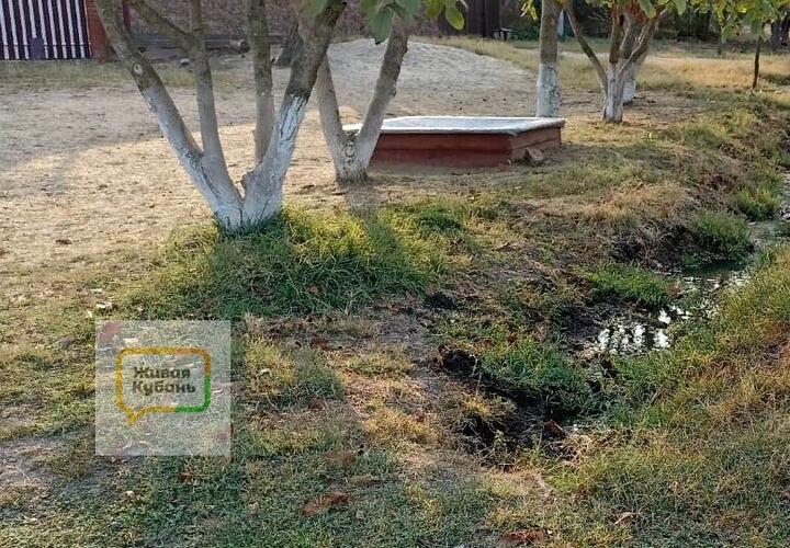 Канава вонючая: нечистоты отравляют воздух в станице Северской Краснодарского края