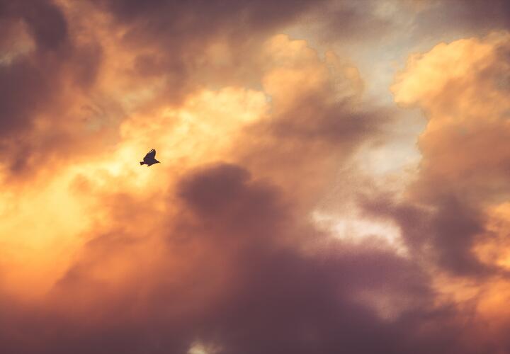 Магнитную бурю почувствуют кубанцы 23 января