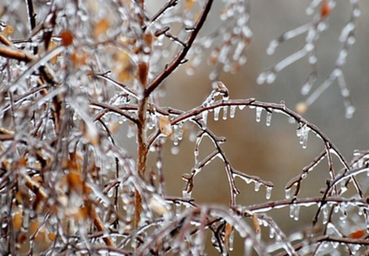  МЧС предупредило о сильном мокром снеге и гололеде на юго-востоке Кубани