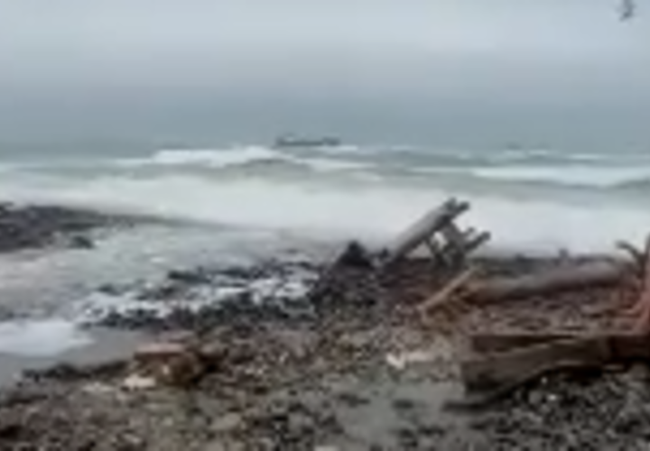 Природа делает то, за что долгие годы борются активисты