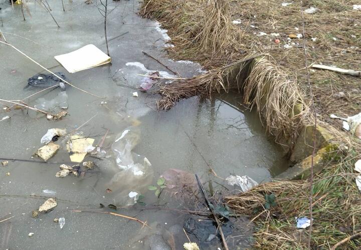 На улицах Краснодара из-за таяния снега и дождей образовались непроходимые лужи