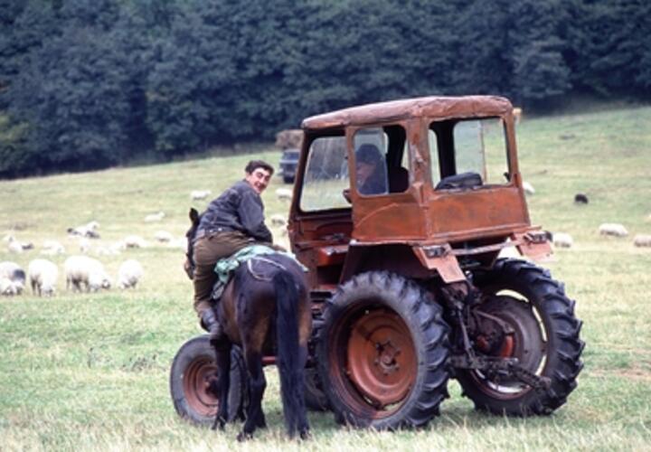 Не хотят работать: аграриям зарплату подняли, но в трактористы все равно никто не идет 