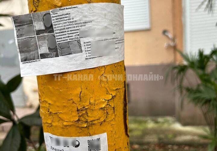 Облить зеленкой: в Сочи появились объявления с призывом наказать наркозакладчиков