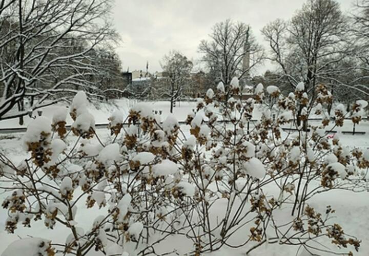 Почему Краснодар каждый год не готов к зиме, объяснил эксперт
