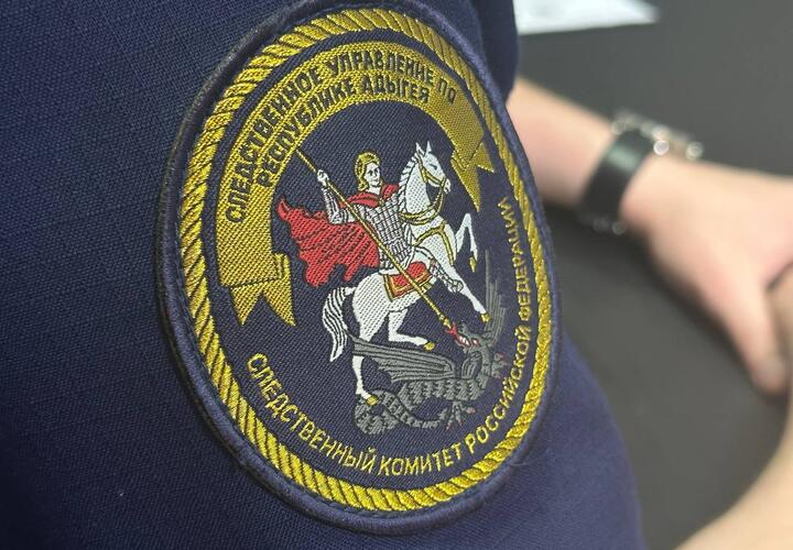 Против водителя, в мороз высадившего ребенка из автобуса в Адыгее, возбудили уголовное дело