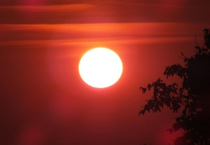 Россиян предупредили, что 2024 год будет годом максимума солнечной активности