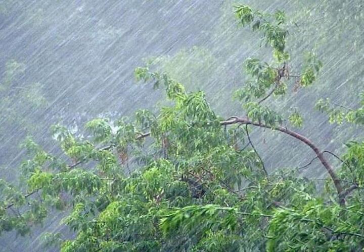 С плюс 15 до снега: в Сочи ожидают резкой смены погоды