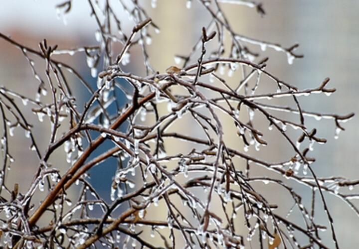 Синоптики рассказали о погоде в Краснодарском крае с 8 по 14 января