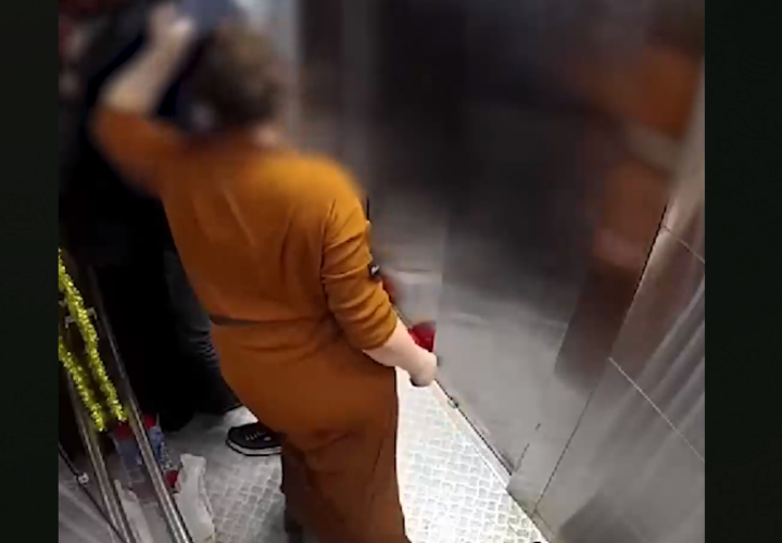 Дама оказалась не робкого десятка