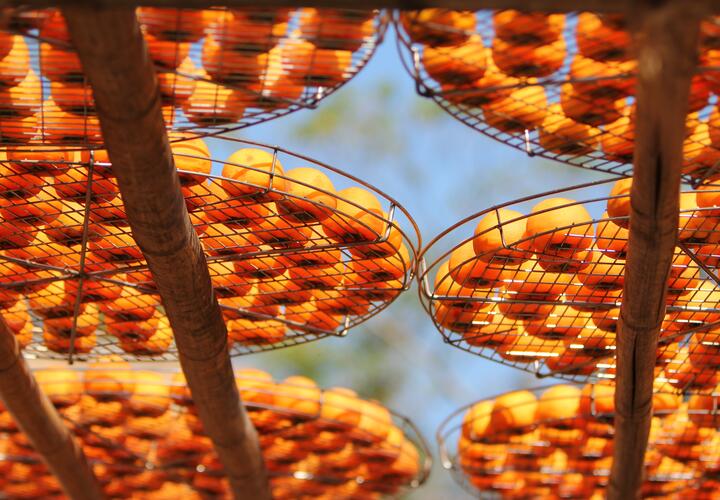 Хурма содержит больше железа, чем яблоко 