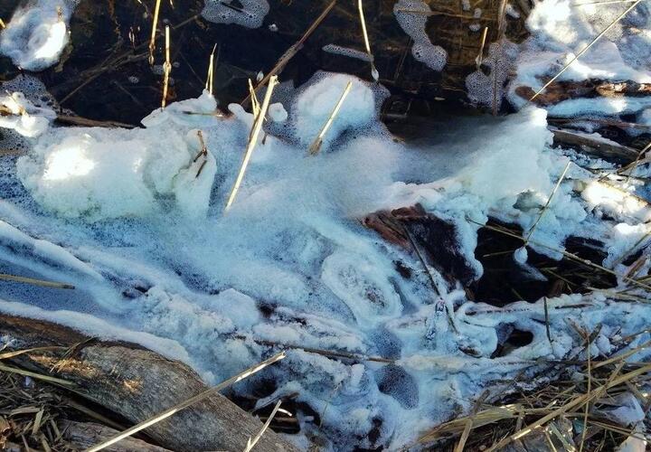 Странная пена появилась в новороссийском водоёме рядом с лебедями и утками