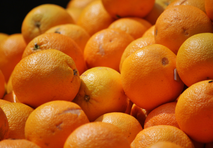 В 20 партиях апельсинов находилась средиземноморская плодовая муха