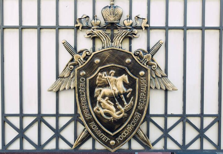 В Славянске будут судить 51-летнего мужчину, пытавшегося задушить веревкой 19-летнюю девушку