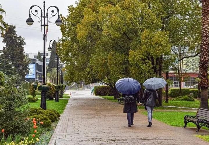 В Сочи синоптики обещают порывистый ветер и сильные дожди