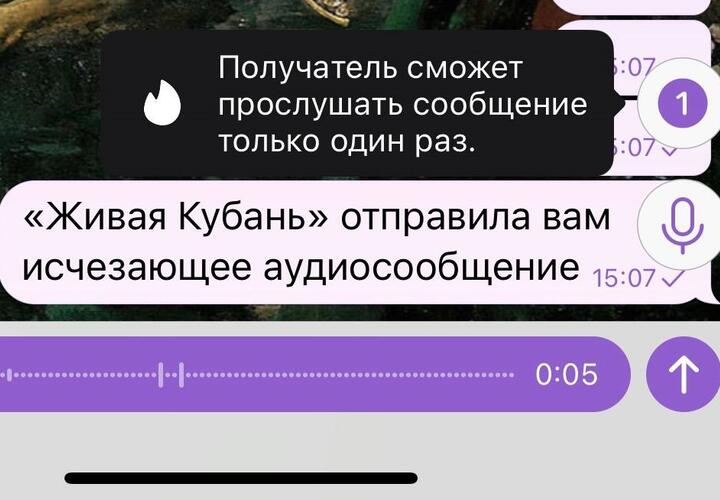 В Telegram появились исчезающие голосовые и видеосообщения