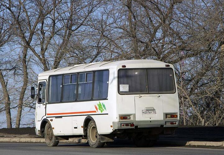 В Туапсе водитель, высадивший ребенка на трассе, отстранён от работы и будет уволен