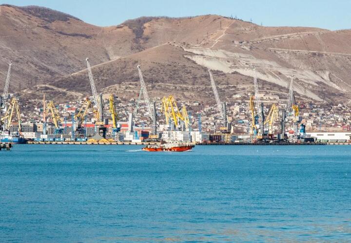 Власти Новороссийска продали под строительство частного дома земли лесного фонда