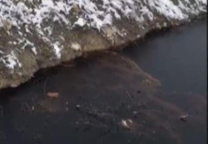 Вода как нефть: из-за стоков с мусорного полигона в Новороссийске ручей окрасился в черный цвет