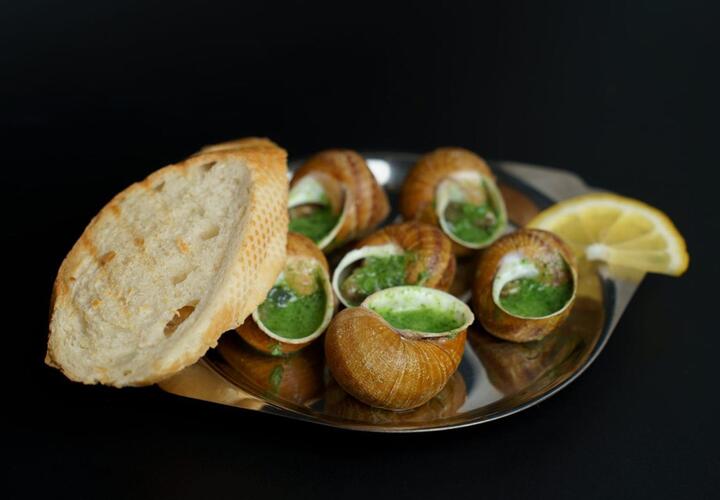 Житель Новороссийска потратил деньги по соцконтракту на разведение улиток