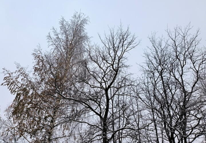 До плюс 17: на Кубани сегодня потеплеет почти по-весеннему