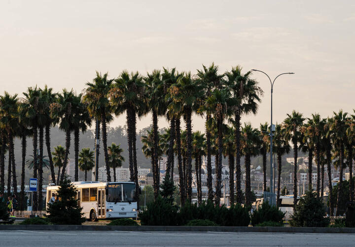 Госдума хочет значительно расширить территорию Сириуса