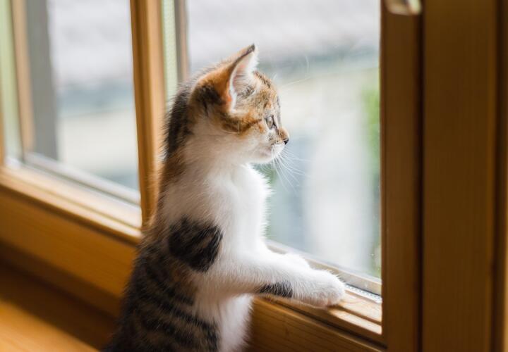 Какой будет погода на Кубани 23 февраля, рассказали синоптики