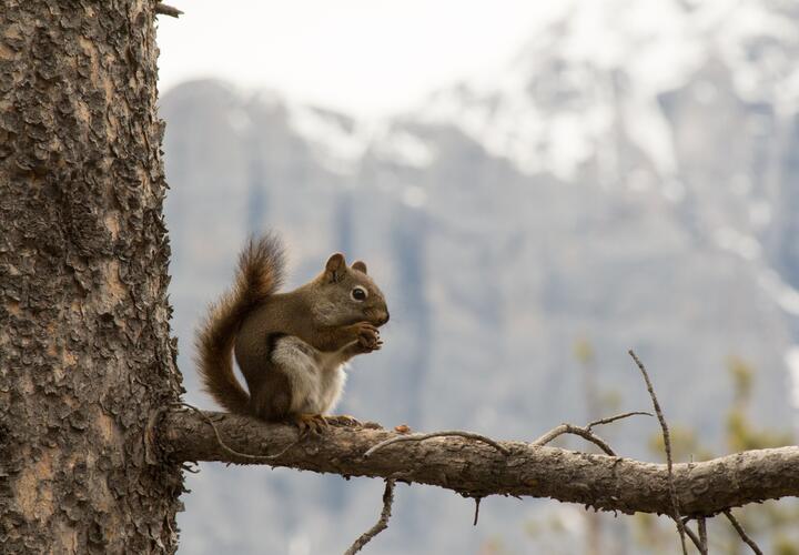 Какой будет погода на Кубани в праздник и выходные