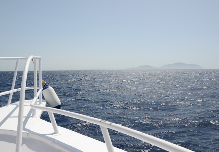 Когда же: из Сочи в Турцию все-таки планируют запустить паром