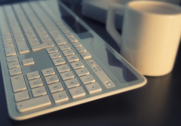 Крупные цветки на голых деревьях распустились в Сочи, а гости на свадьбе в Краснодаре устроили стрельбу: ТОП-5 за 25 февраля