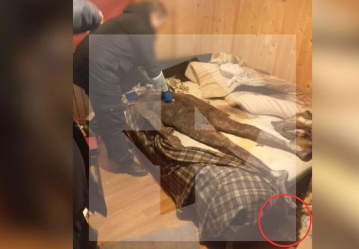 Многодетная мать четыре года спала в одной постели с мумифицированным мужем 