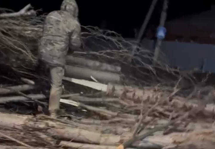 На Кубани станция скорой помощи осталась без электричества из-за дерева, упавшего на провода