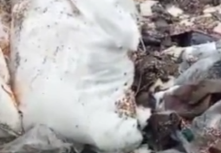 На помойке нашли гумпомощь для СВО, отправленную с Кубани 