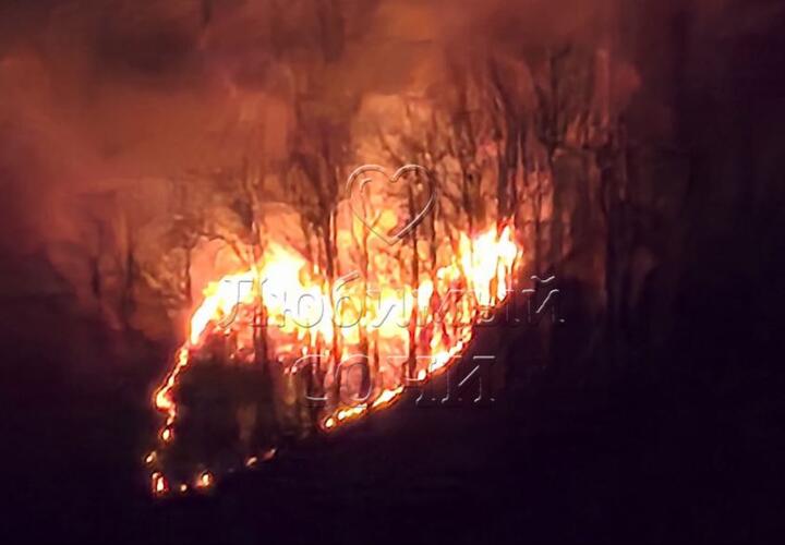 Огненное сердце: лесной пожар полыхал в Сочи