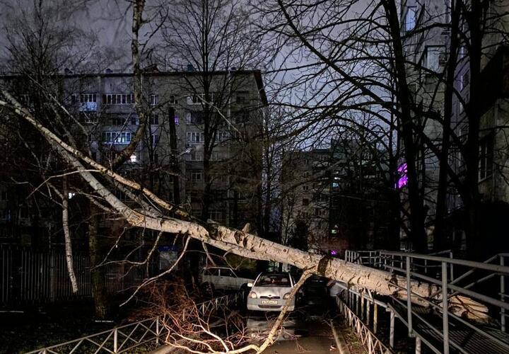 Последствия урагана: в Краснодаре ветер сорвал крыши домов и поломал десятки деревьев
