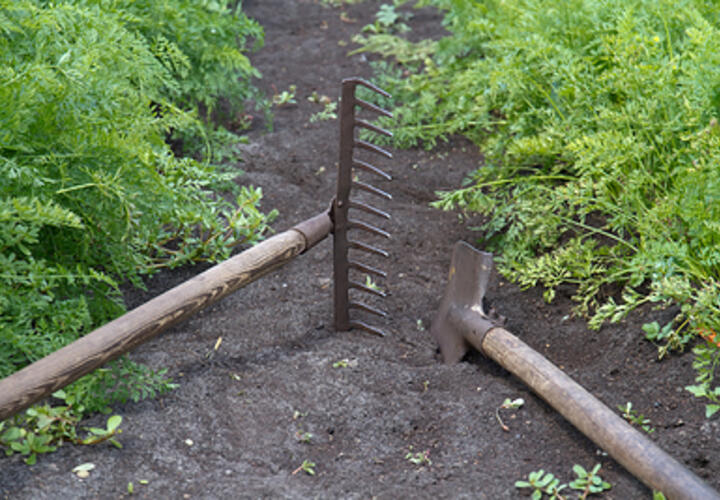 Мужчина был пьян и в гостях у приятеля поругался с ним