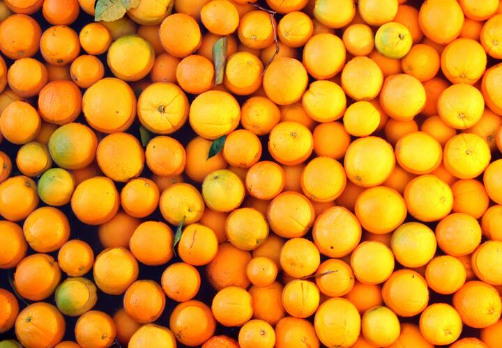В порт Новороссийска привезли египетские апельсины с мухами
