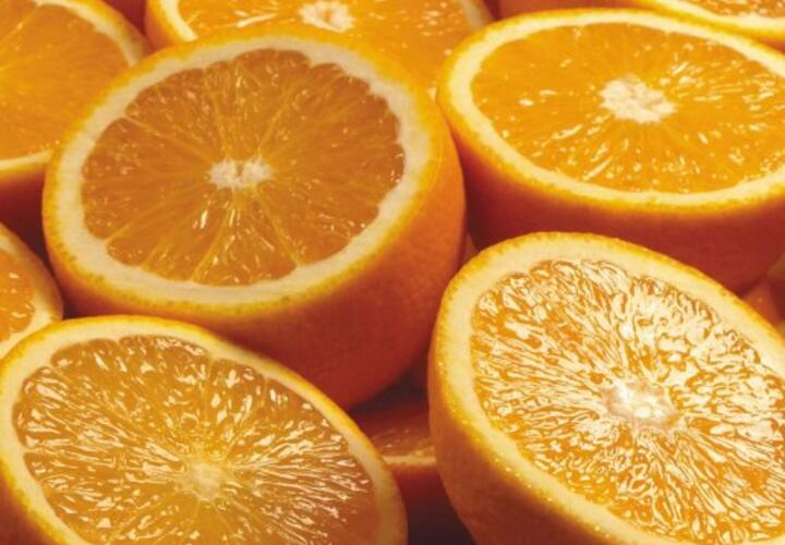 В порту Новороссийска обнаружили сотни тонн апельсинов с мухами