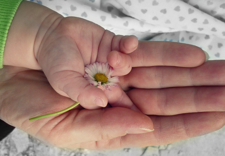 547 семей одержали победу, несмотря на возникшие препятствия 