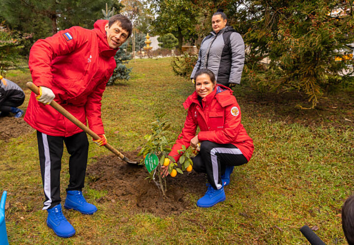 В Сочи олимпийские чемпионы высадили цитрусовые деревья к 10-летию Игр