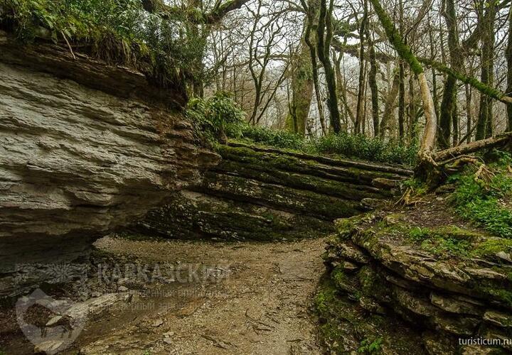 В Сочи  приезжие заблудились  на одном из популярнейших туристических объектов, их выводили спасатели