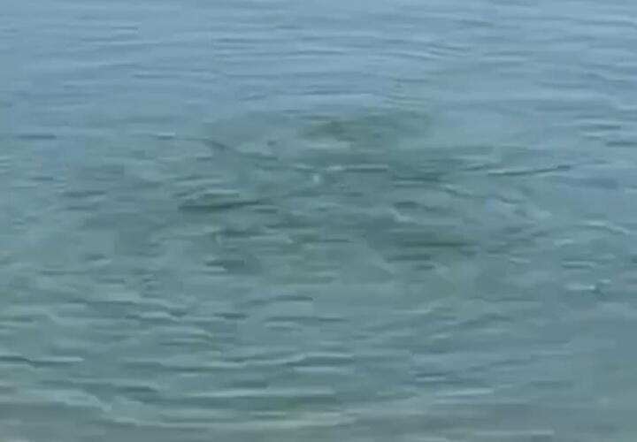 Азовское море в Тамани бурлит, возможно извержение грязевого вулкана