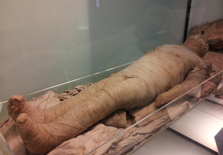 Женщина четыре года спала с мумией, а проект ремонта кинотеатра «Аврора» будет готов раньше срока: ТОП-5 за 2 февраля