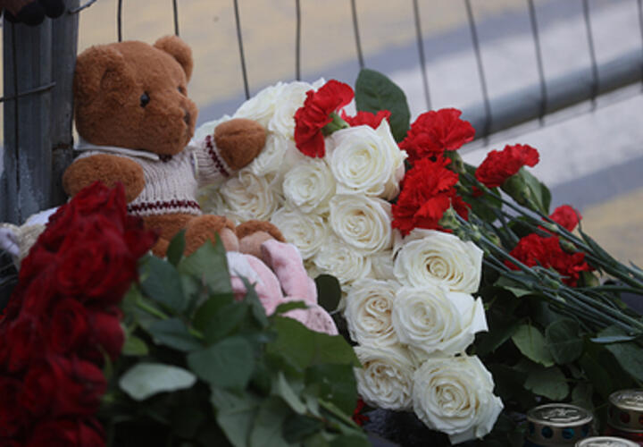 Дети из Новороссийска во время теракта находились в «Крокусе»