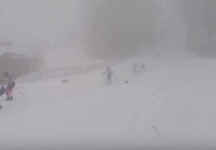 «Это преступление»: известный российский шоумен высказался по поводу драмы в Сочи на забеге лыжниц