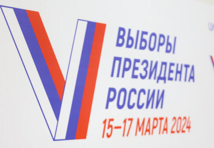 Как пройдут выборы: эксперты дали прогноз по Краснодарскому краю