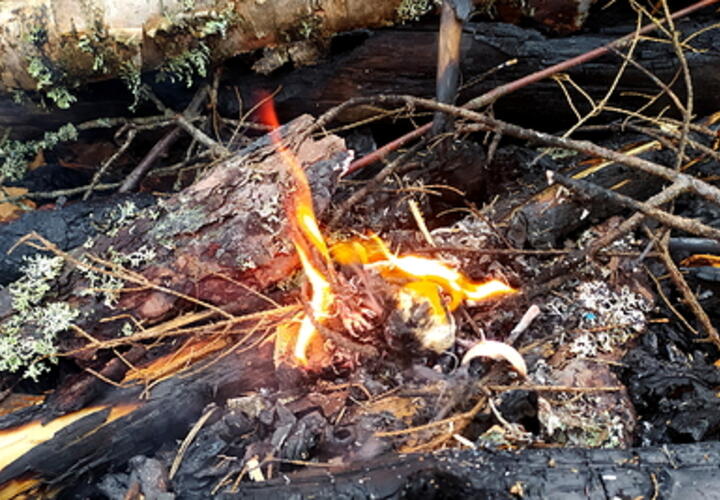 МЧС предупредила жителей Кубани о высокой пожароопасности