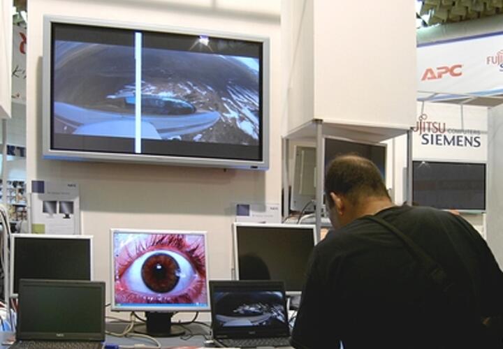 На Кубани не раскрывается почти  80 процентов преступлений с использованием Интернета