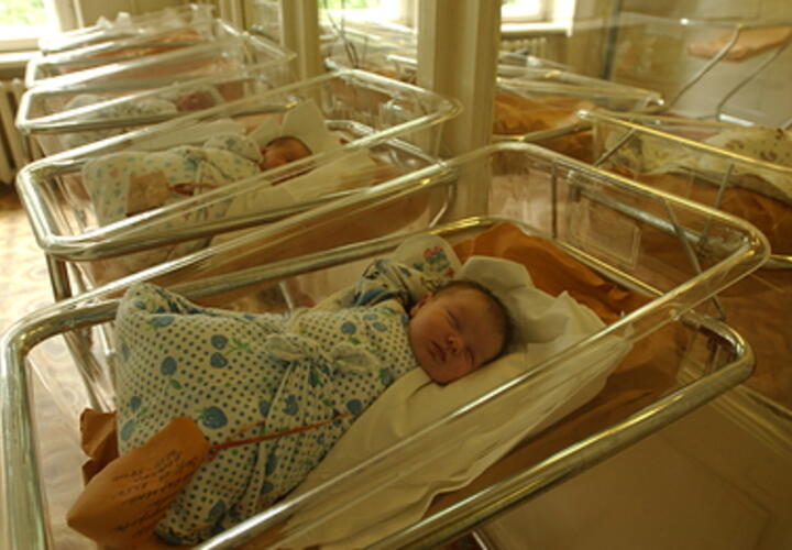 На Кубани родились три двойни за сутки